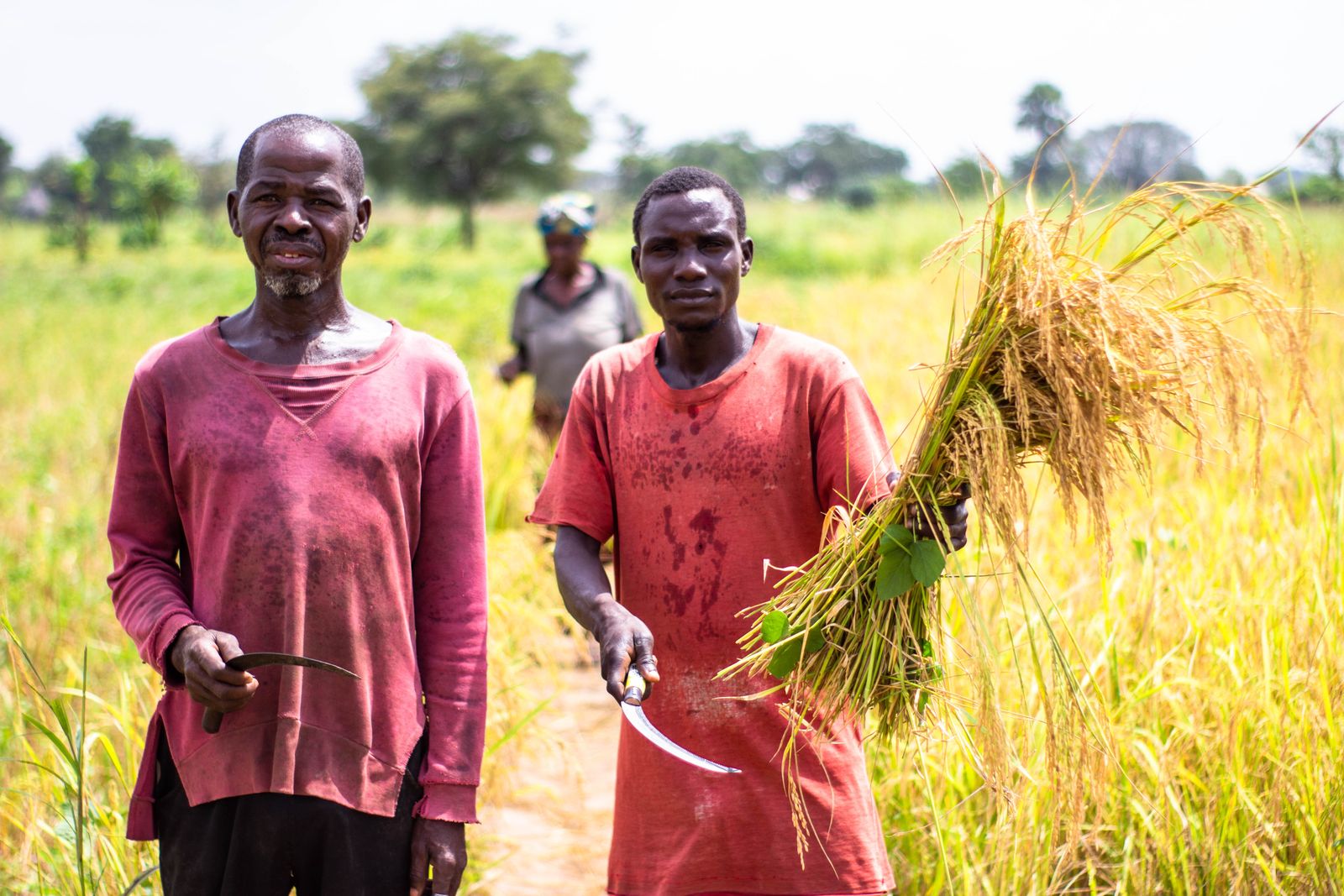 Zaria Farmers Cooperative